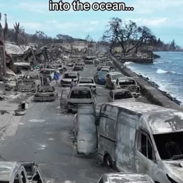 Hawaii fires death toll hits 99