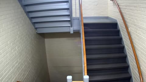 3880FHOB03Stair5_2021-01-06_02h20min00s353ms.mp4