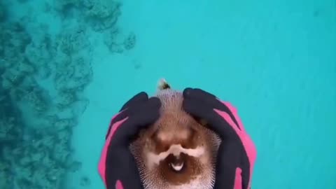 Everyone loves massage