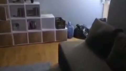 Plasmoid Demon! Video filmed in Russia!
