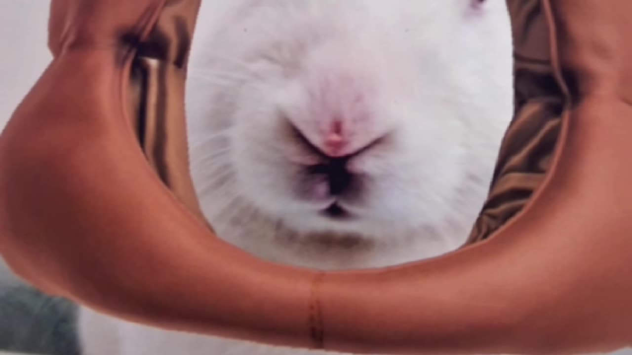 Nobody loves me 😭😭