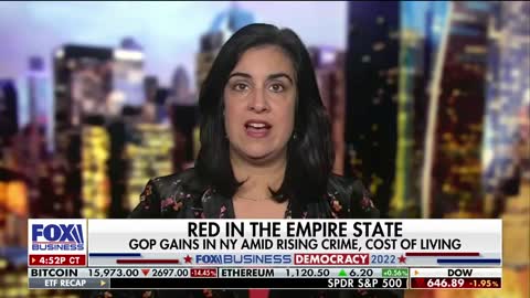 This was a ‘significant win’ for House in NY: Rep. Nicole Malliotakis