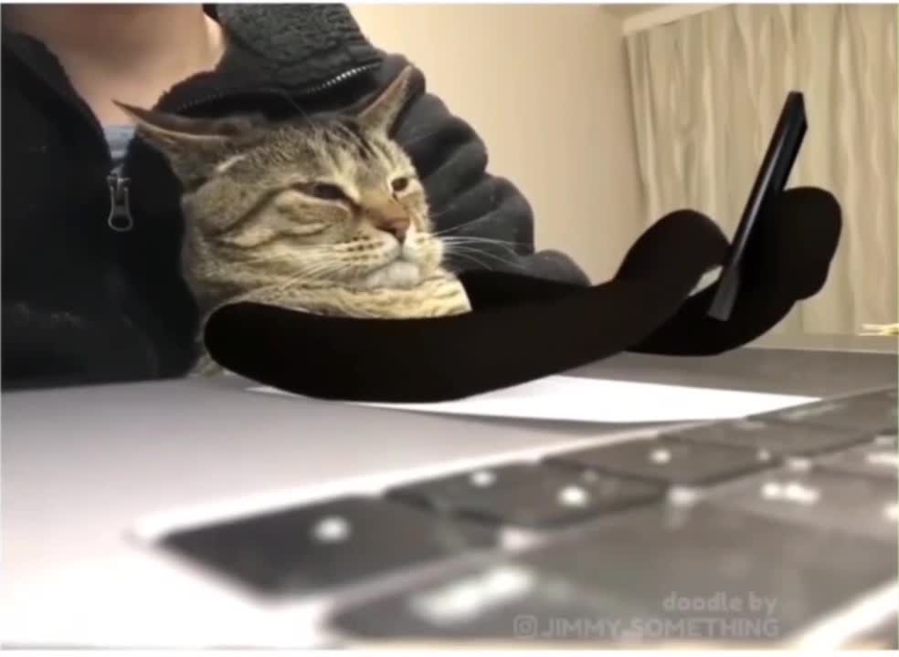 officcat