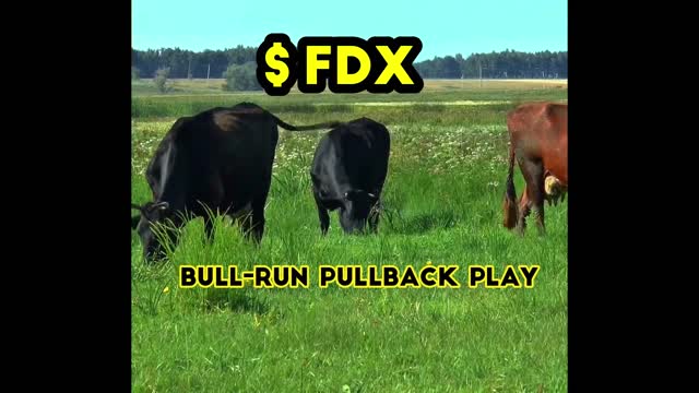 FEDEX - Bullrun Pullback Strategy.