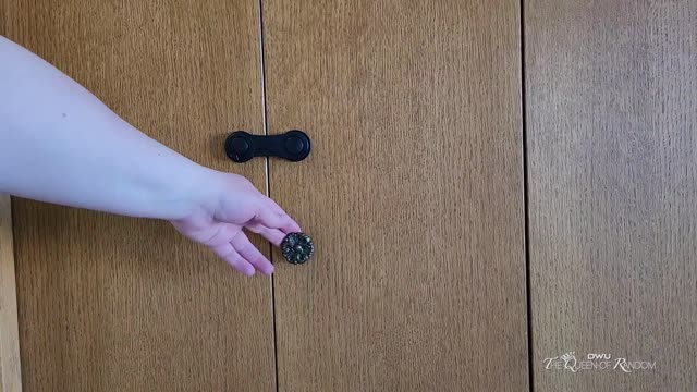Y2Mate.is - Child and Pet Safety Locks Easy to instal and how they work-ciFmzaT_F0g-1080p-