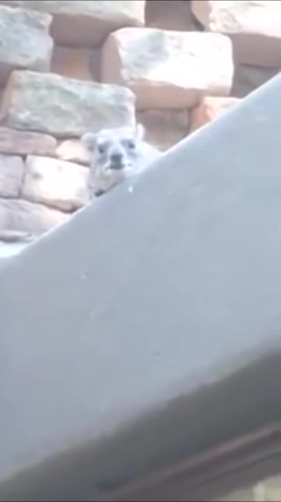 when the bird feeder is empty