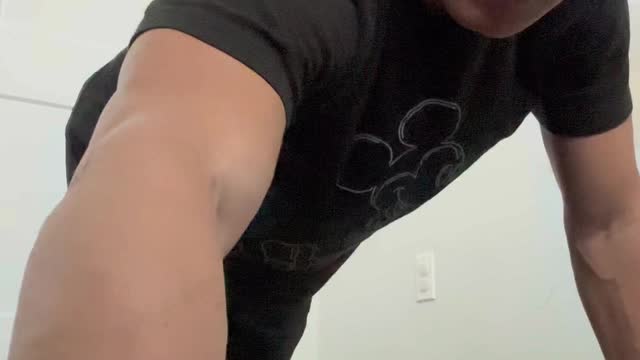 161 pushups (2x Speed)