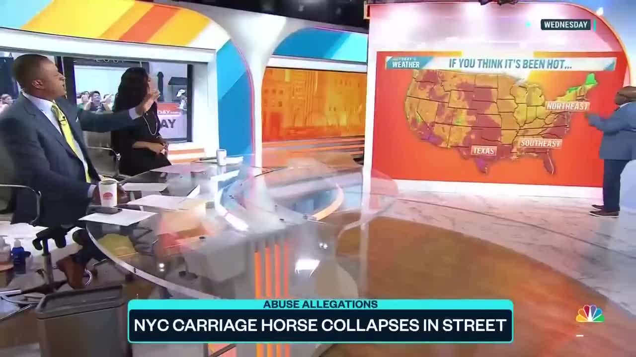 Animal Activists Outraged After NYC Carriage Horse Collapses