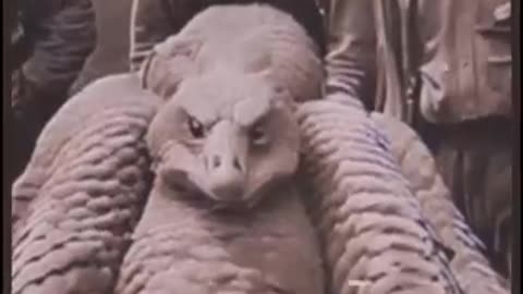 STRANGE BEAST