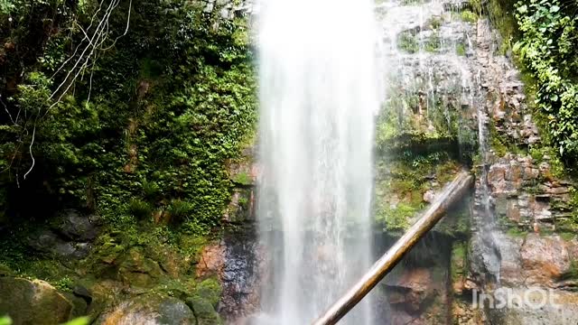 Beautiful nature