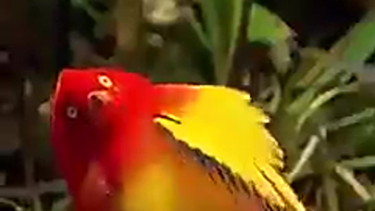Contemplate Nature To Get Inspired #shorts #viral #shortsvideo #video