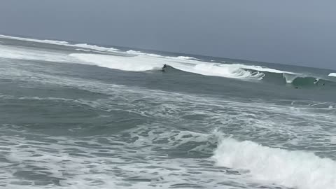 Surfing and music and a very good boi.