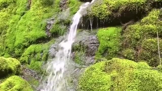 Anacortes Community Forest Land trails - Base of Mt Erie area and Heart Lake