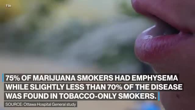 Marijuana smokers could be at more risk for emphysema than cigarette smokers_ Study