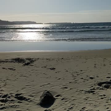 The Wind Ruined My Pixel 5 After I Took a Piss on the Smart Phone