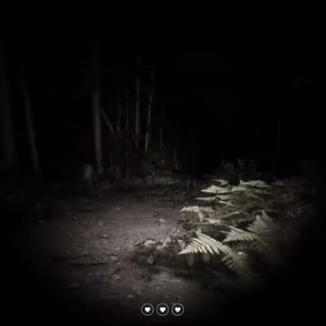 Catfish can sing with a naked demon lady