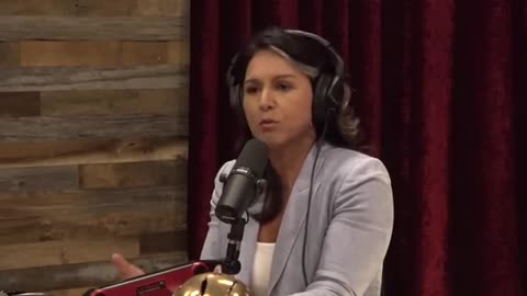 Tulsi Gabbard on the Response to the Maui Wildfires