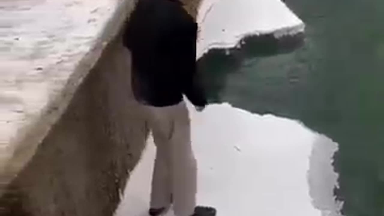 New funny video 🤣