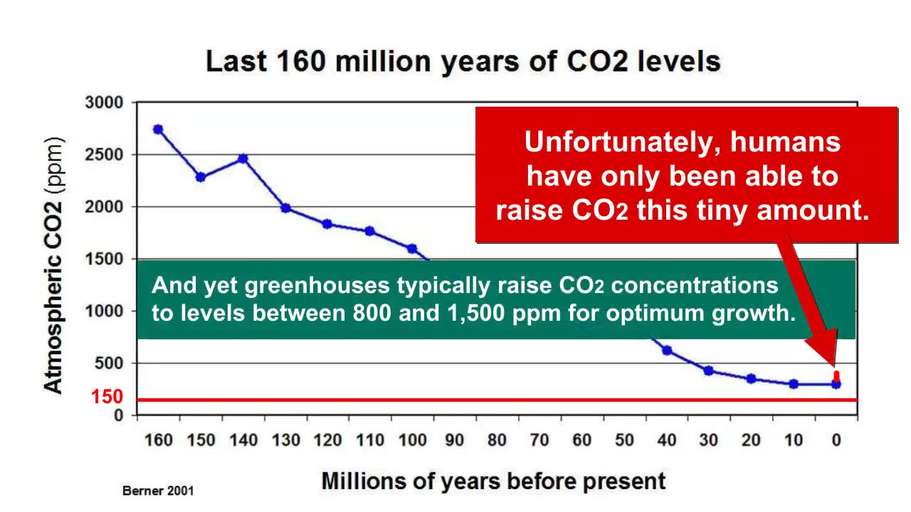 THE CO2 FAMINE!