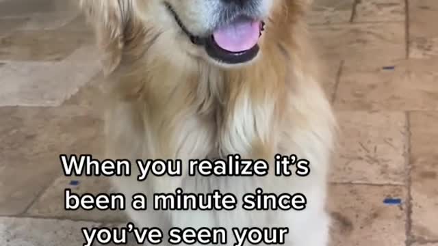 When you realize it's been a minute since
