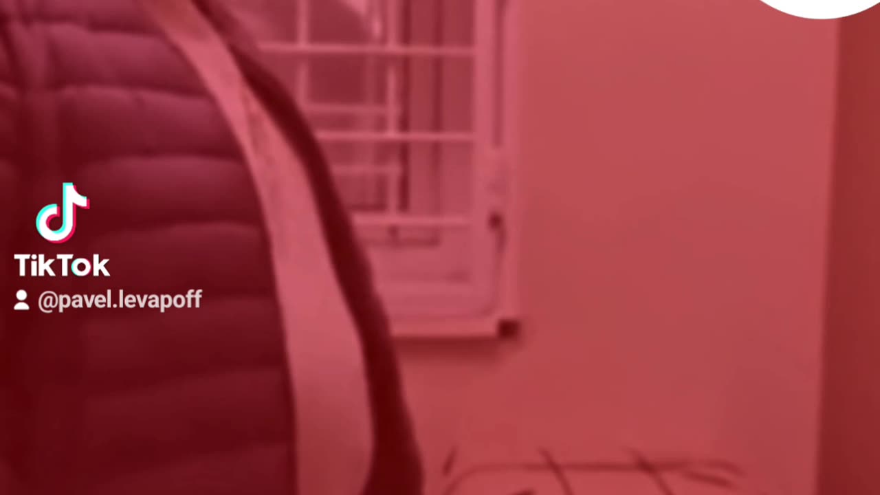 куда это меня занесло?