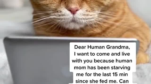 Important letters