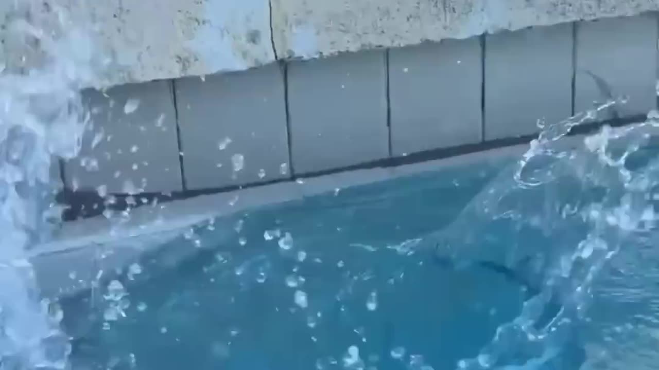 Funny kids