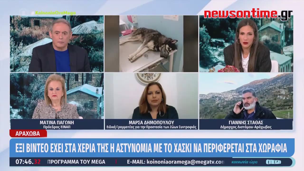 newsontime.gr - Αράχωβα- Ελέγχεται Ο Ιδιοκτήτης Του Σκύλου