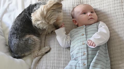 Cute little baby video