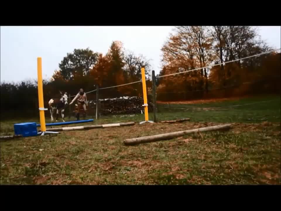 supergirl charlotte | Training with donkey | Esel