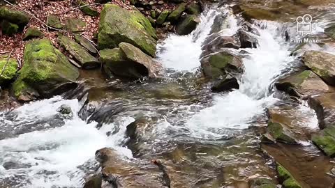 relaxing sound of nature,bird song and a small stream