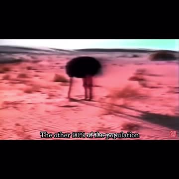 Canadian government spying on 80% or more of its citizens