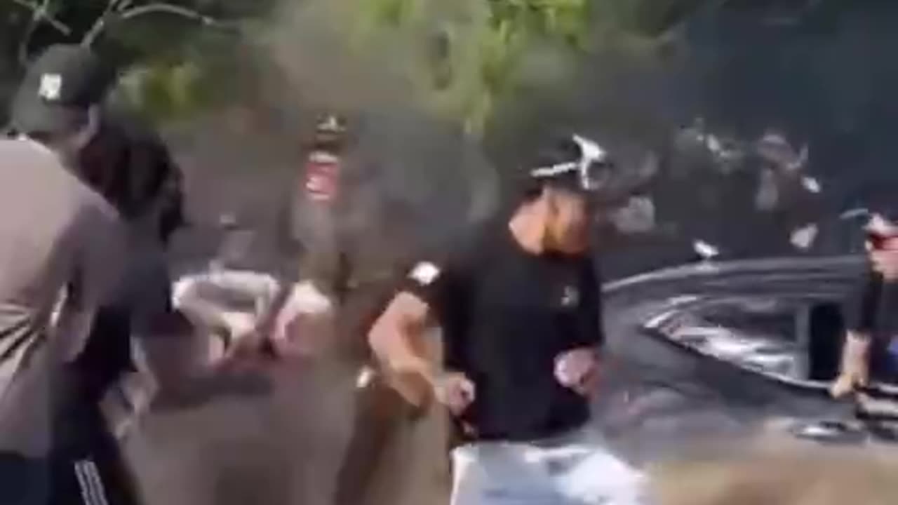 The Darwin Awards