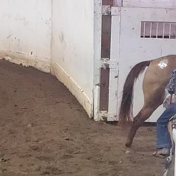 Marion County Fair woman horese ride