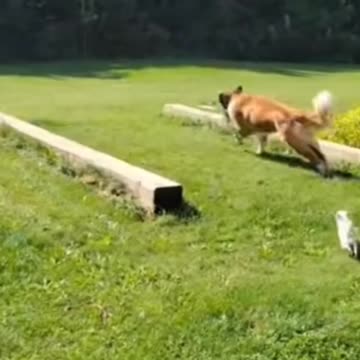 Catch me if you can 😁