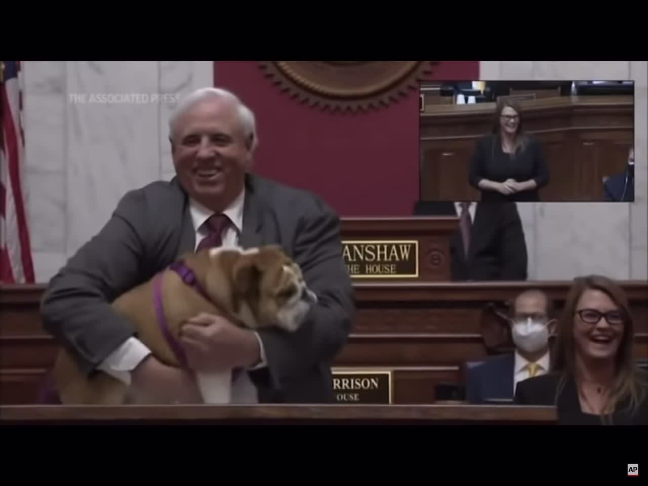 W VA Gov Jim Justice tells Bette Midler and the left to kiss his dogs ass