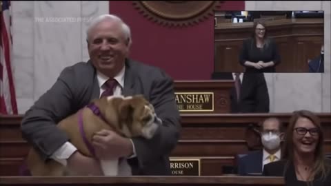 W VA Gov Jim Justice tells Bette Midler and the left to kiss his dogs ass