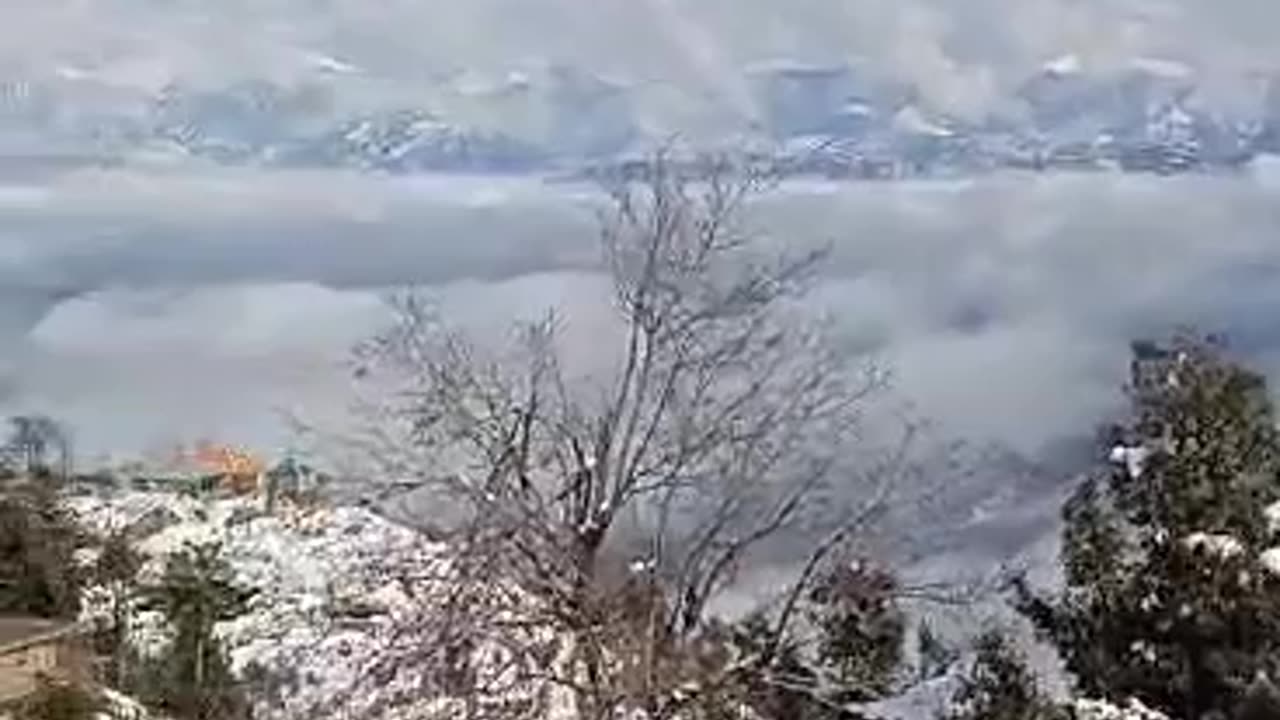 Snow 🌨 fall