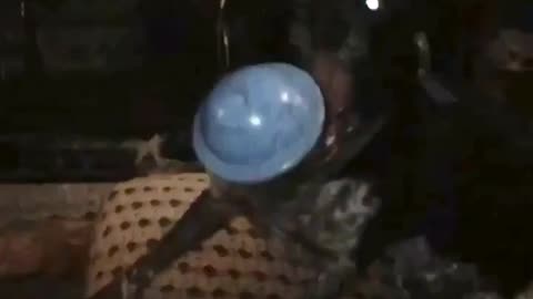 Dog catches UFO