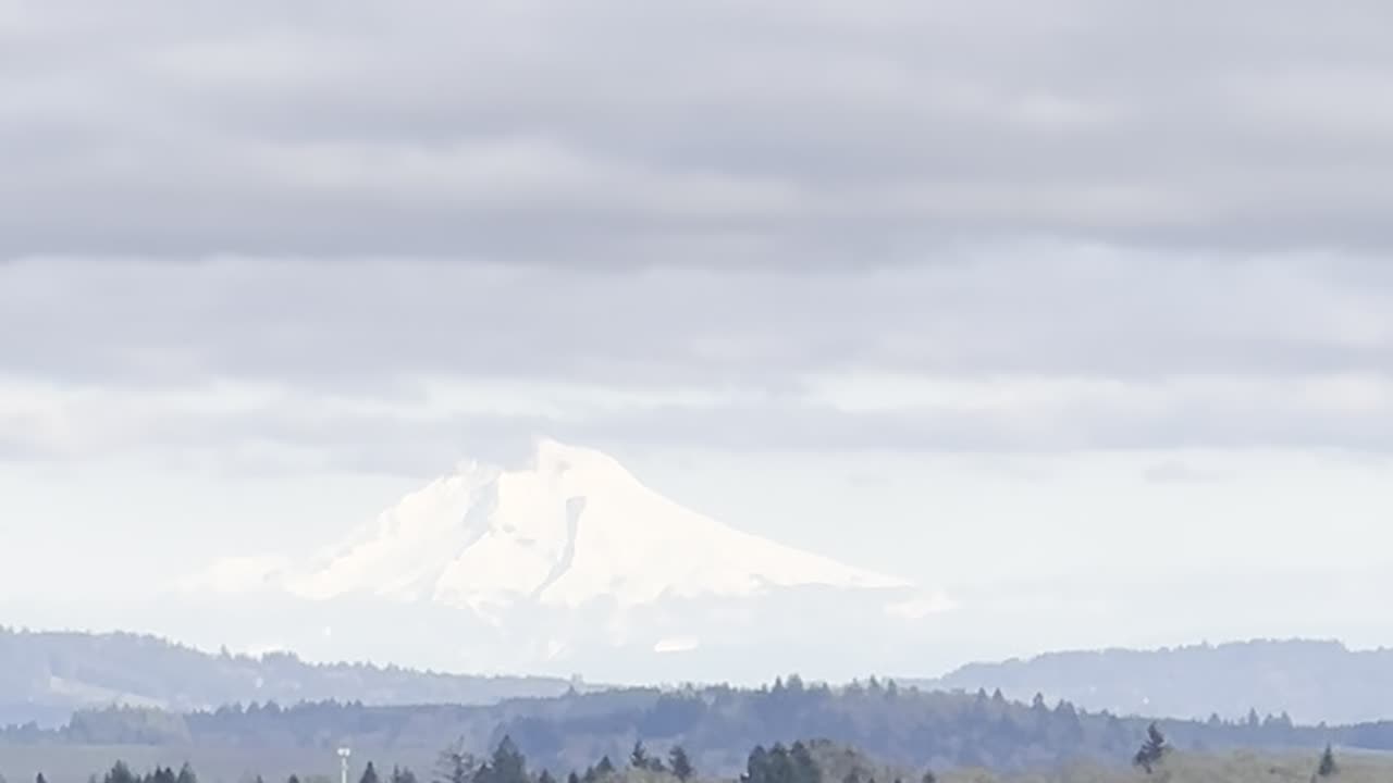 Mt. Hood View