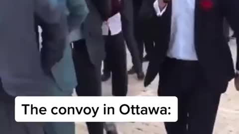 Media: the convoy will be violent. Ottawa right now: