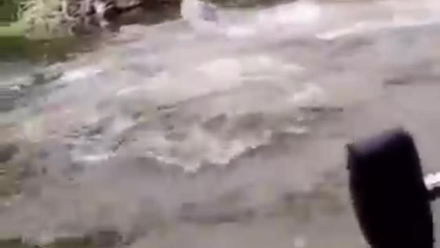 Best Asian Fishing 🐟 | Amazing Fishing Techniques 🐟 #shorts