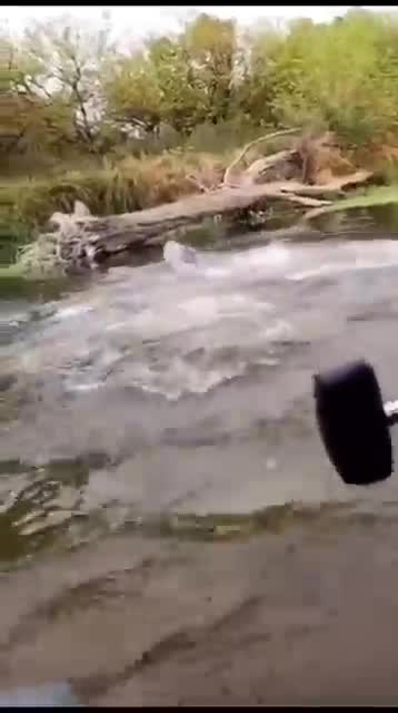 Best Asian Fishing 🐟 | Amazing Fishing Techniques 🐟 #shorts