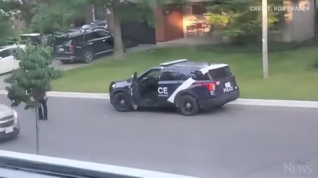 WATCH: Wild turkey faces off against Canadian police officer