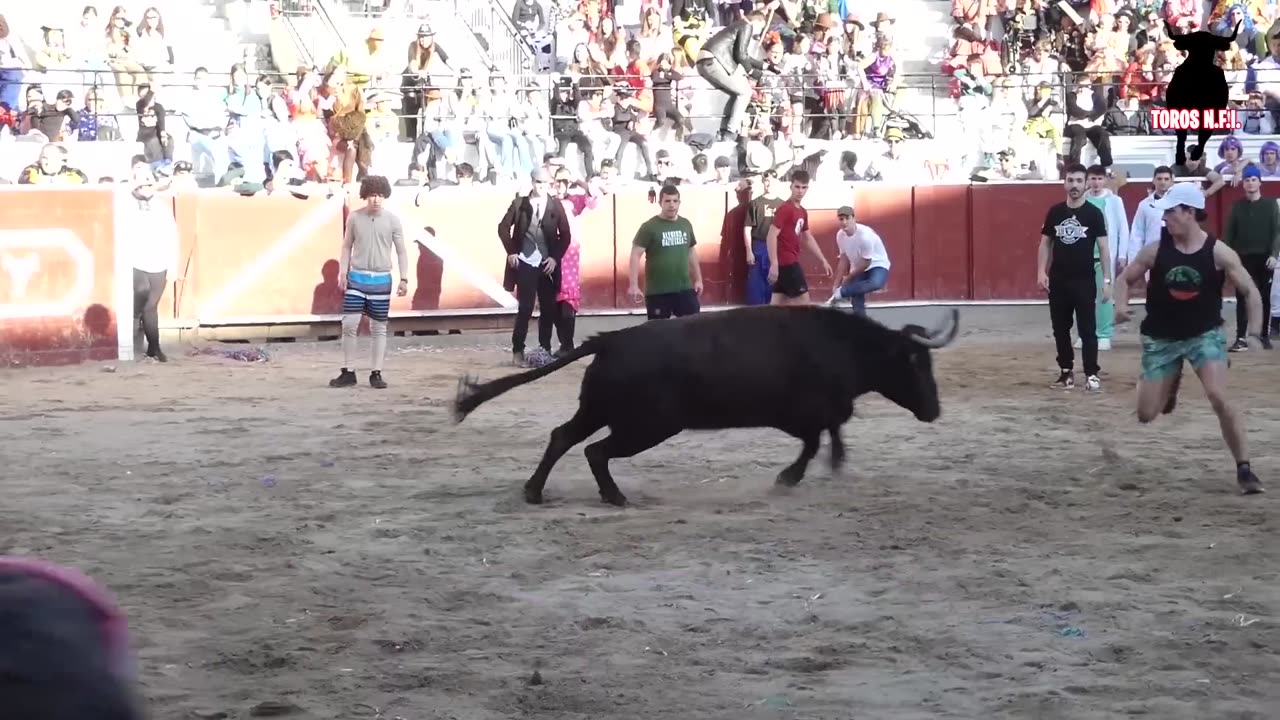 VAQUILLAS TOLOSA LUNES DE CARNAVAL - Marqués de Saka