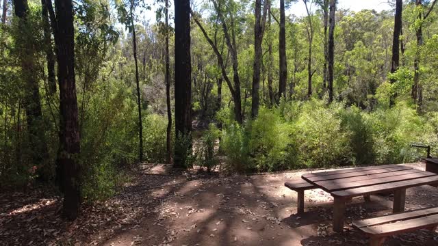 Bibbulmun Track part 18 Swamp Oak To Murray