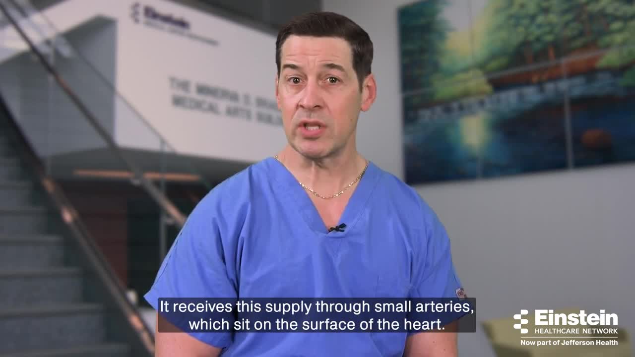 What the Heart Is and How It Works