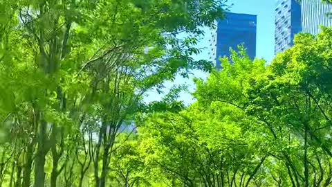 Beautiful scenery. Come and have a look
