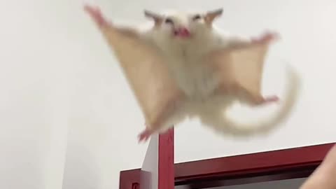 Watch me flying towards you