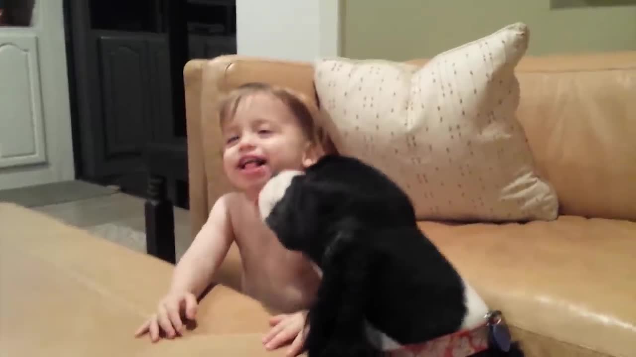 Babies playing with Dog